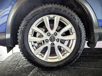 Comes equipped with: Power Mirrors, Shark fin antenna, Halogen Headlamps, Courtesy lights, LED Headl... (image 9)