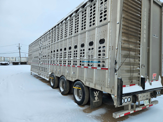 Wilson cattle liner in Farming Equipment in Portage la Prairie - Image 3