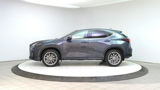 2025 Lexus NX 350h in Cars & Trucks in Lethbridge - Image 2