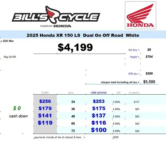 2025 HONDA XR 150 LS Dual Sport White in Street, Cruisers & Choppers in Winnipeg - Image 2