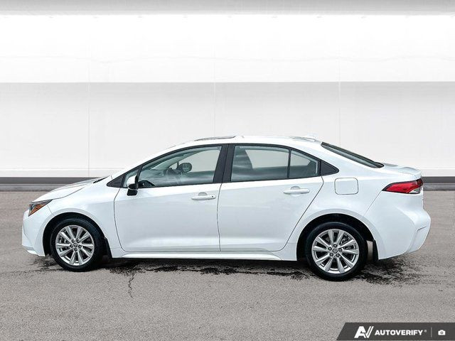 2023 Toyota Corolla LE in Cars & Trucks in Winnipeg - Image 2