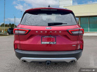 This Ford Escape delivers a Gas/Electric I-4 2.5 L/152 engine powering this Variable transmission. E... (image 5)