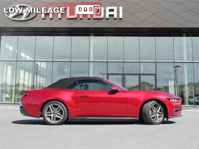 2024 Ford Mustang Preferred - Low Mileage in Cars & Trucks in Ottawa - Image 2