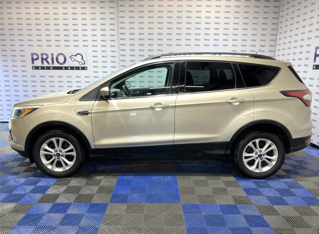 2017 Ford Escape in Cars & Trucks in Ottawa - Image 2