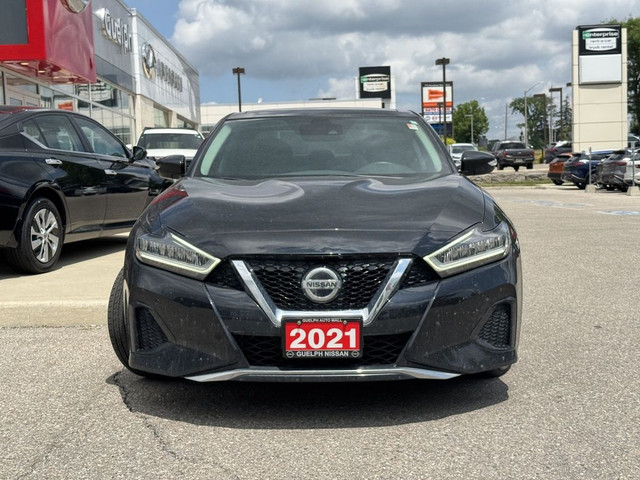 2021 Nissan Maxima SL | LEATHER | CLEAN CARFAX | ONE OWNER in Cars & Trucks in Guelph - Image 2
