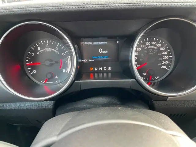 2019 Ford Mustang EcoBoost Premium Heated Seats, Backup Camera in Cars & Trucks in Charlottetown - Image 17
