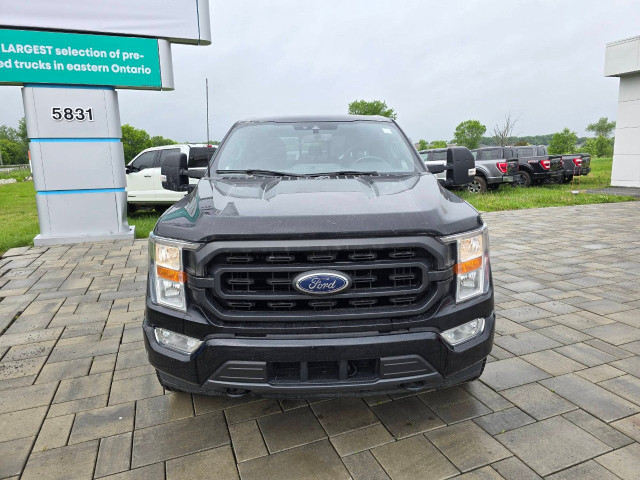 2021 Ford F-150 in Cars & Trucks in Ottawa - Image 2