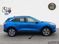 - PREVIOUS DAILY RENTAL - - ACCIDENT FREE - HEATED LEATHER SEATS - HEATED STEERING WHEEL - REMOTE ST... (image 6)