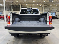 PROTECTION GROUP,ADAPTIVE STEERING SYSTEM,WHEELS: 20 X 8 SATIN CARBON W/BRIGHT INSERTS (STD),GVWR: 4... (image 6)