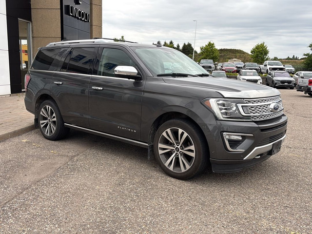 2020 Ford Expedition Platinum LOADED! 3.5L ECOBOOST, 22" RIMS, L in Cars & Trucks in Stratford - Image 3