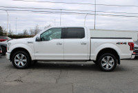 LOCAL ONTARIO VECHILE 3.5L ECOBOOST Strong, reliable, and built to perform. This 2016 F-150 PLATINUM... (image 3)