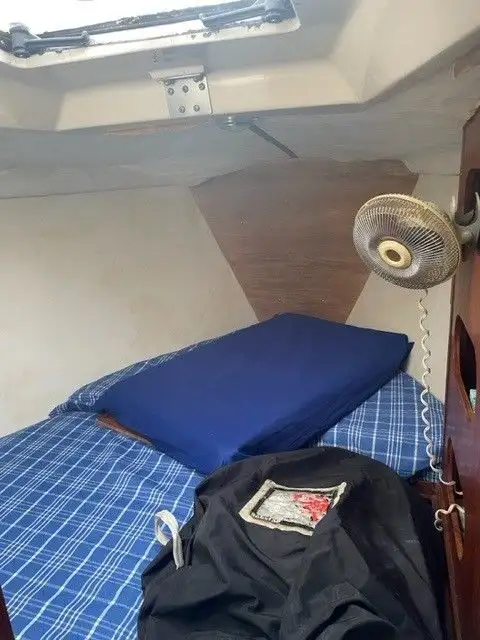 1981 EDEL 820 in Sailboats in Norfolk County - Image 14