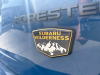Do not miss out on this low mileage, locally owned and traded and originally bought here 2022 Forest... (image 9)