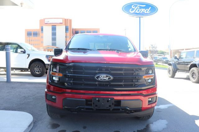 2025 Ford F-150 XLT in Cars & Trucks in Winnipeg - Image 2
