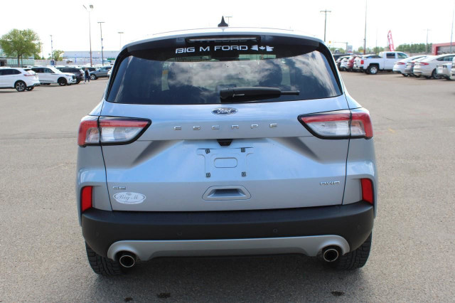 2022 Ford Escape SE in Cars & Trucks in Medicine Hat - Image 4
