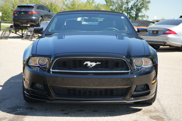 2013 Ford Mustang GT in Cars & Trucks in Red Deer - Image 2
