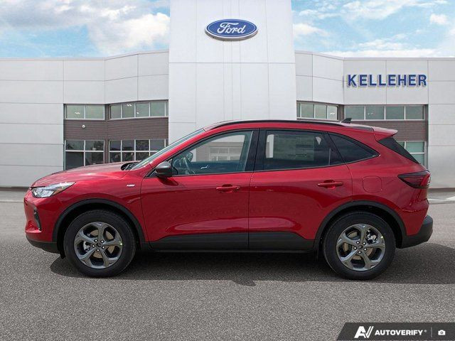 2025 Ford Escape ST-Line in Cars & Trucks in Brandon - Image 2
