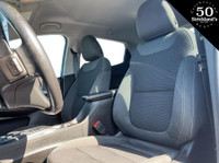 **Strickland's is home of the Hassle-Free car shopping experience. We make car buying fun, find your... (image 8)
