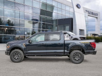 Experience the future of tough with the 2025 Ford F-150 Tremor. This cutting-edge truck combines rug... (image 2)