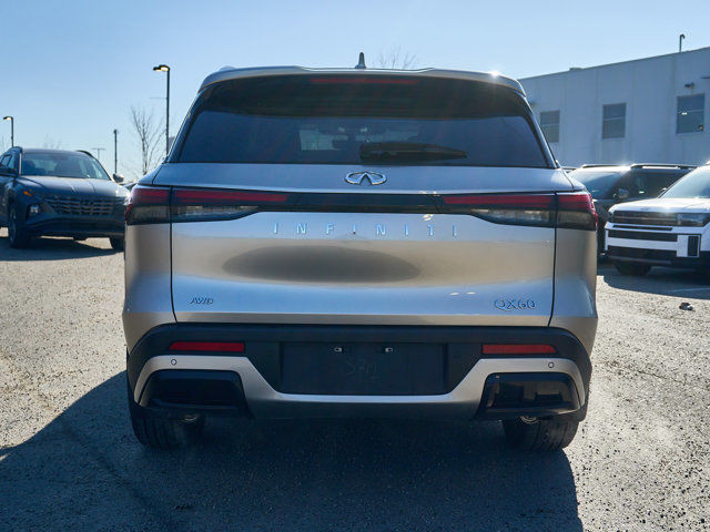 2025 INFINITI QX60 Luxe | Awd | Sunroof | Adaptive Cruise in Cars & Trucks in Edmonton - Image 4