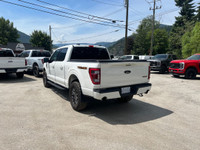 Ford Co-Pilot360 Assist 2.0, Wireless Charging Pad, 360-Degree Camera, Power Sliding Rear Window, Dy... (image 5)