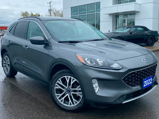 2022 Ford Escape SEL Hybrid in Cars & Trucks in Sudbury - Image 2
