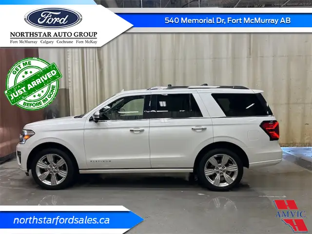 2022 Ford Expedition Platinum - Leather Seats in Cars & Trucks in Fort McMurray - Image 3