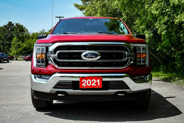 2021 Ford F-150 XLT • REMOTE START • HEATED SEATS • CP/AA in Cars & Trucks in Kingston - Image 4