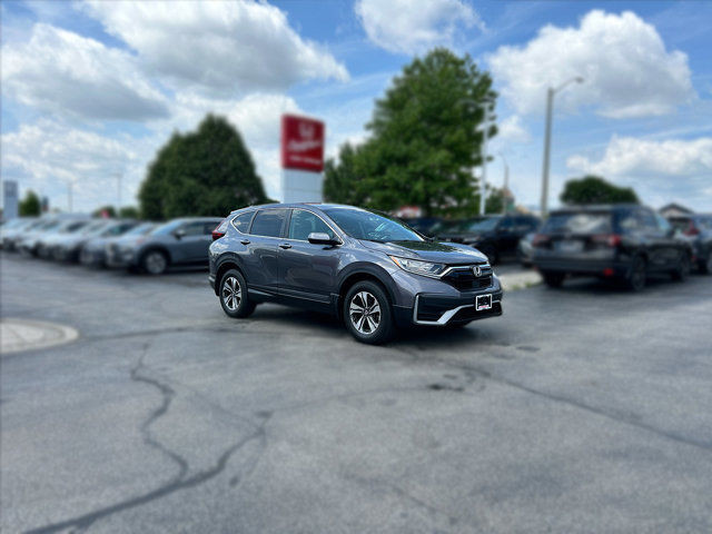 2020 Honda CR-V LX | Honda Certified | 1 Owner | No Accidents in Cars & Trucks in Hamilton - Image 3