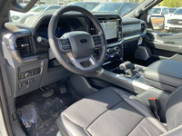 TWIN PANEL MOONROOF,BED UTILITY PACKAGE -inc: LED Box Lighting Power Tailgate Pro Access Tailgate 4... (image 4)