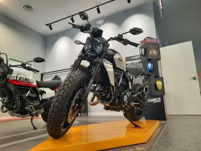 Steele Recreation has been invaded by Ducati Motorcycle's Just in is this 2024 Ducati Scrambler Icon...