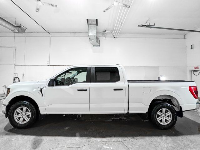 2023 Ford F-150 XLT | No Accident | 6-Passenger | Bedliner in Cars & Trucks in Grande Prairie - Image 2