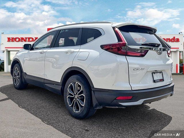 2020 Honda CR-V EX-L | AWD | ACCIDENT FREE | LEATHER | SUNROOF in Cars & Trucks in Kitchener / Waterloo - Image 4