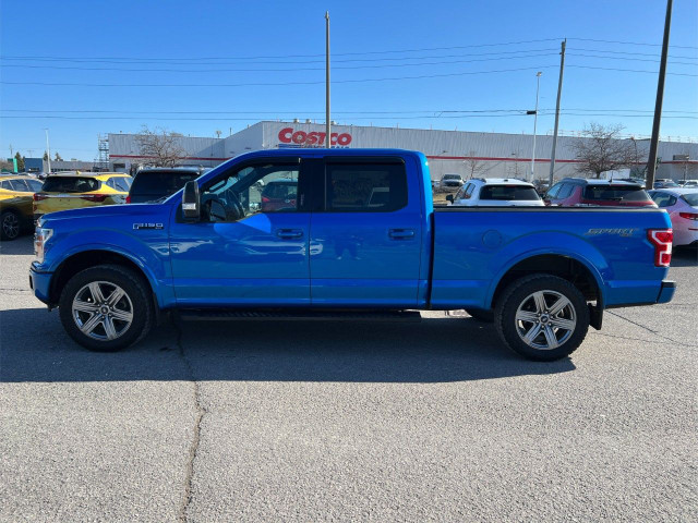 2019 Ford F-150 in Cars & Trucks in Ottawa - Image 2