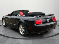 Experience the perfect blend of performance and bold design with this 2009 Ford Mustang GT Convertib... (image 3)
