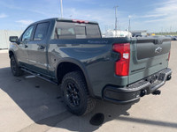 AMVIC Licensed Dealer Conquer any terrain in the 2026 CHEVROLET SILVERADO 1500 CREW CAB ZR2 Bison Ed... (image 5)