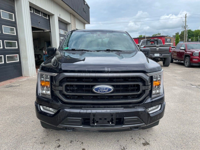 2022 Ford F-150 in Cars & Trucks in Ottawa - Image 3