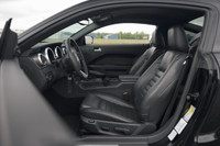 Equipped with a 500 hp supercharged 5.4L V8, 6-speed manual, and Brembo brakes for raw muscle. Deale... (image 7)