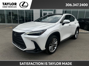 2022 Lexus NX 350 Other
