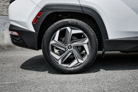 Cooled Seats, Sunroof, Leather Seats, Navigation, Premium Audio! 6 LOCATIONS KINGSTON - (613) 384-56... (image 5)