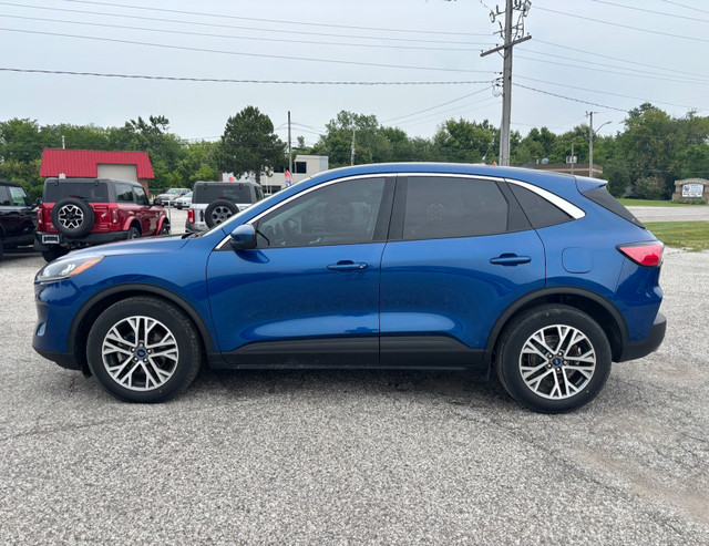 2022 Ford Escape SEL | ONE Owner | Clean CarFax | Backup Camera  in Cars & Trucks in Windsor Region - Image 2