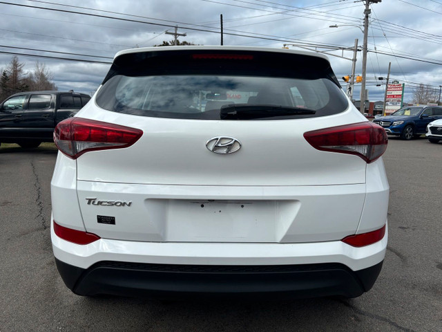 2019 Hyundai Kona SE in Cars & Trucks in Truro - Image 4