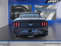 La Ford Mustang décapotable 2023 incarne l'élégance sportive à ciel ouvert. Son moteur 2.3L EcoBoost... (image 1)