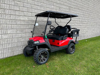 Excalibur Custom Golf Cart - Fully Loaded - Lifted - LITHIUM