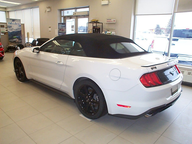 2019 Ford Mustang EcoBoost - Convertible - White in Cars & Trucks in Timmins - Image 2