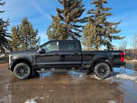AMVIC Licensed Engine: 8 Cylinder Engine 6.7L Safety Equipment ABS And Driveline Traction Control Si... (image 5)