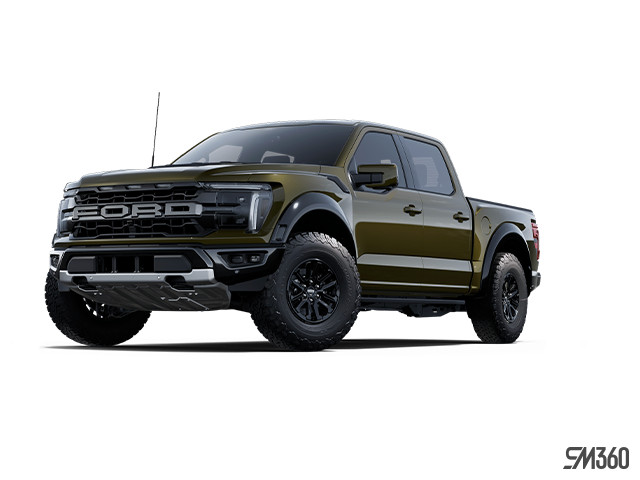 2025 Ford F-150 Raptor in Cars & Trucks in Windsor Region - Image 3