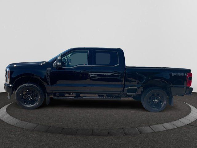 2025 Ford Super Duty F-350 SRW XLT in Cars & Trucks in Regina - Image 2