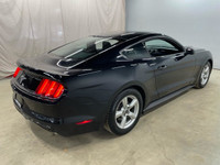 Looking for a head-turning ride that delivers pure driving excitement? Look no further than this sle... (image 6)