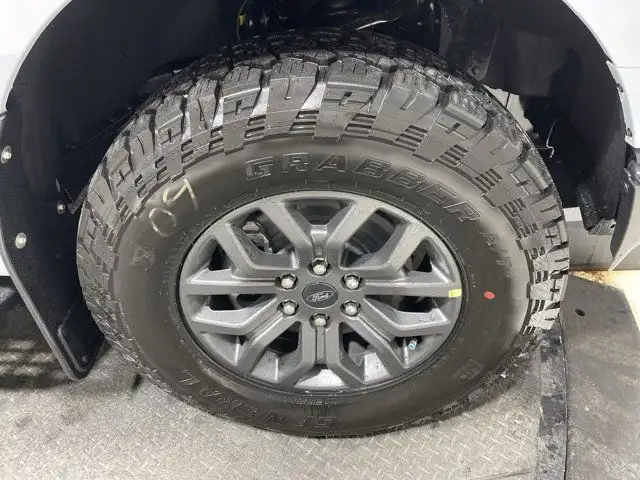 2025 Ford F-150 Tremor in Cars & Trucks in Strathcona County - Image 17